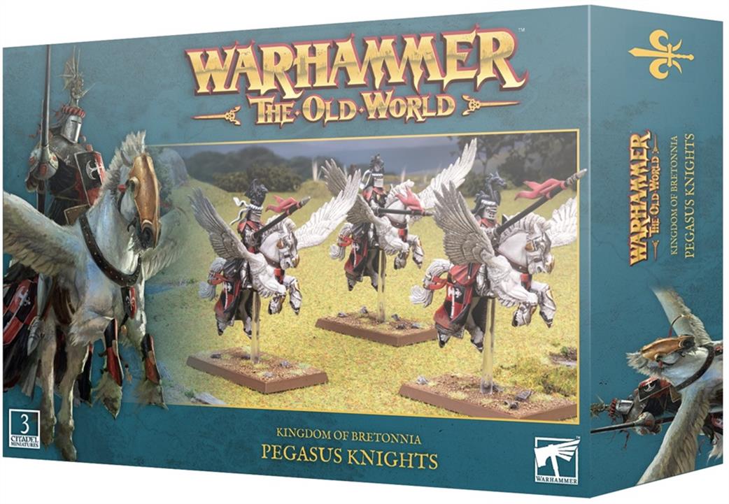 Games Workshop 06-09 Warhammer The Old World Kingdoms of Bretonnia Pegasus Knights