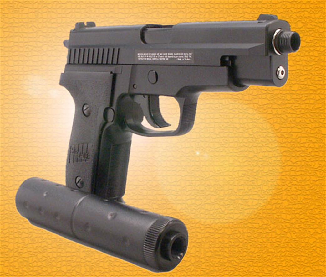 3PSA 1/1 280105 Sig Sauer P229 with Sound Moderator (P229)