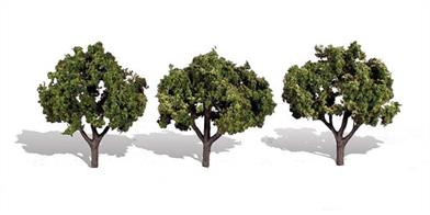 Pack of&nbsp;3&nbsp;trees with light coloured foliage. Height range 3 to 4 in.Typical scale heightO scale&nbsp;12 - 16 feetOO scale 19 - 25 feetN scale 36 - 48 feet