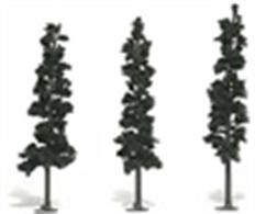 Pack of 3 conifer trees