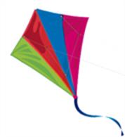 This stunning performer is a highly manoeuvrable and versatile kite which can be flown on a single line or converted to two lines! The Stunt Master comes with tail, twin lines and full instructions for flying.Size 93 x 84cms, material spinnaker, frame fibreglass, No assembly, twine Strength 10(kg), wind range 5 - 20(mph).Age 8 years up