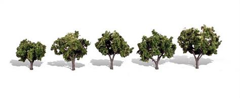 Pack of&nbsp;4&nbsp;small trees. Height range 1 1/4 to 2in.Typical scale heightO scale 5 to 8 feetOO scale&nbsp;8 - 12.5 feetN scale 15 - 24 feet