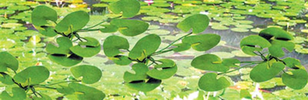 JTT Scenery Products OO/HO 95537 Lily Pads