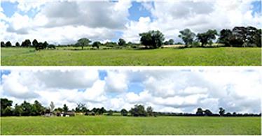 10-feet long 15in high photographic reproduction backscene showing the very edge of a town, featuring open countryside, fields&nbsp;and a farm with the first few houses on the dege of the town appearing behind the trees. The scene is supplied in two sections.This is pack&nbsp;D of four&nbsp;backscene packs which can be combined to create a continuous 40-feet length scene.