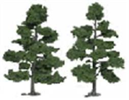 Pack of two ready made treesÂ&nbsp;18-20cmÂ&nbsp;(7-8in) height.Approx. scale sizes :Â&nbsp;OO/HO 50-55ft. O 28-32ft.