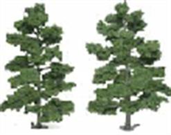 Pack of two ready made treesÂ&nbsp;20-23cmÂ&nbsp;(8-9in) height.Approx. scale sizes :Â&nbsp;OO/HO 55-65ft. O 32-36ft.