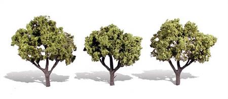 Pack of 3 trees with light coloured foliage. Height range 3 to 4 in.Typical scale heightO scale 12 - 16 feetOO scale 19 - 25 feetN scale 36 - 48 feet