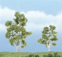 Woodland Scenics Sycamore Premium Trees 2 - 3in Pack of 2 TR1603Woodland Scenics premium trees are carefully sculpted to replicate the distictive features of each tree. The model tree is identifiable by trunk, branch and foliage. Ideal for foreground and feature locations.A large, upright, deciduous tree found growing wild, especially in wet areas. Known for its beautifully mottled bark. Models are&nbsp;3 in (75mm) tall and&nbsp;2Â¼in (55mm) tall.