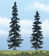 Woodland Scenics Spruce Premium Trees 4 - 5in Pack of 2 TR1621Woodland Scenics premium trees are carefully sculpted to replicate the distictive features of each tree. The model tree is identifiable by trunk, branch and foliage. Ideal for foreground and feature locations.These evergreen conifers are grown in beautifully landscaped yards and thrive in most climates. Models are 4 and 5 in tall (100 &amp; 125mm).