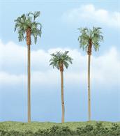 Woodland Scenics premium trees are carefully sculpted to replicate the distictive features of each tree. The model tree is identifiable by trunk, branch and foliage. Ideal for foreground and feature locations.These palms thrive in hot, arid climates and are used to line the streets for an ornamental appearance. Pack of 3 trees, 3, 4 and 4½in tall (75, 100, 110mm)