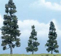 Woodland Scenics premium trees are carefully sculpted to replicate the distictive features of each tree. The model tree is identifiable by trunk, branch and foliage. Ideal for foreground and feature locations.This evergreen conifer is popular in most areas. It is planted in yards and grows wild in fields and woods. Three fine models of Juniper trees, one each at 2Â½,&nbsp;3 and 5Â¾in (60mm, 75mm and 150mm) tall.