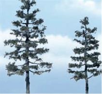 Woodland Scenics Spruce Pine Premium Trees 4 - 5 1/4in Pack of 2 TR1624Woodland Scenics premium trees are carefully sculpted to replicate the distictive features of each tree. The model tree is identifiable by trunk, branch and foliage. Ideal for foreground and feature locations.These fast growing evergreen conifers thrive in many climates and reach towering heights. Their needles constantly drop and mulch the soil, so grass rarely grows below them. Pack of two Spruce PineÂ&nbsp;trees, one each 5in and 4Â½in (125 and 115mm) tall.