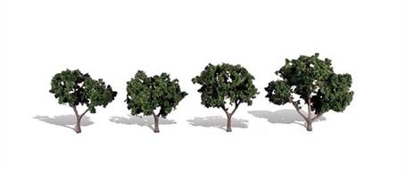 Pack of&nbsp;4&nbsp;trees with dark&nbsp;foliage. Height range 2 to 3 in.Typical scale heightO scale 8 - 12 feetOO scale 12.5 - 19 feetN scale 24 - 36 feet